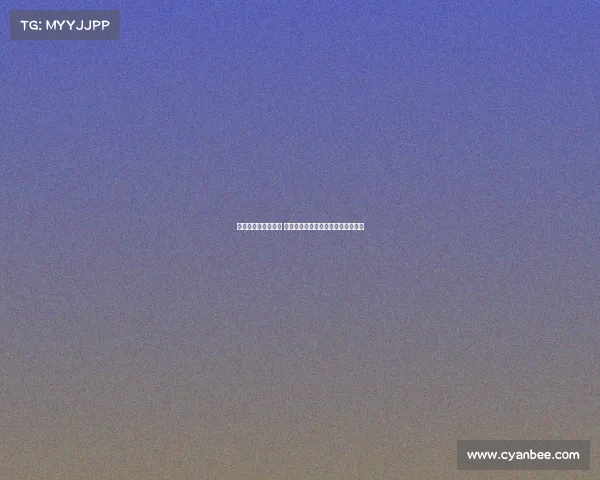 杨瀚森试训经历总结 各方面收获丰富并独立面对多队考察